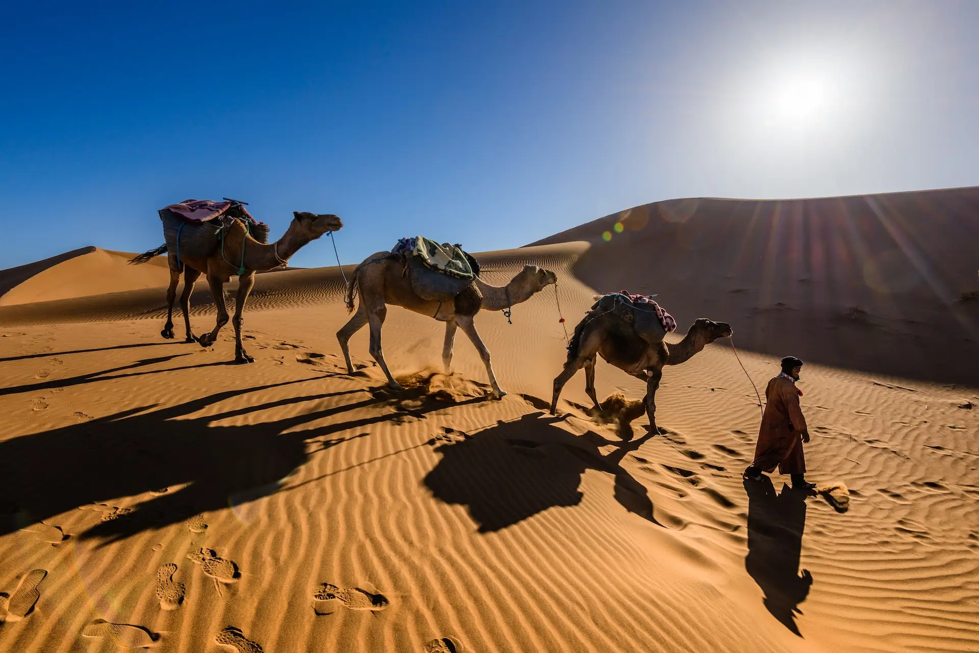 Authentic Marrakech Desert Tours 3 Days