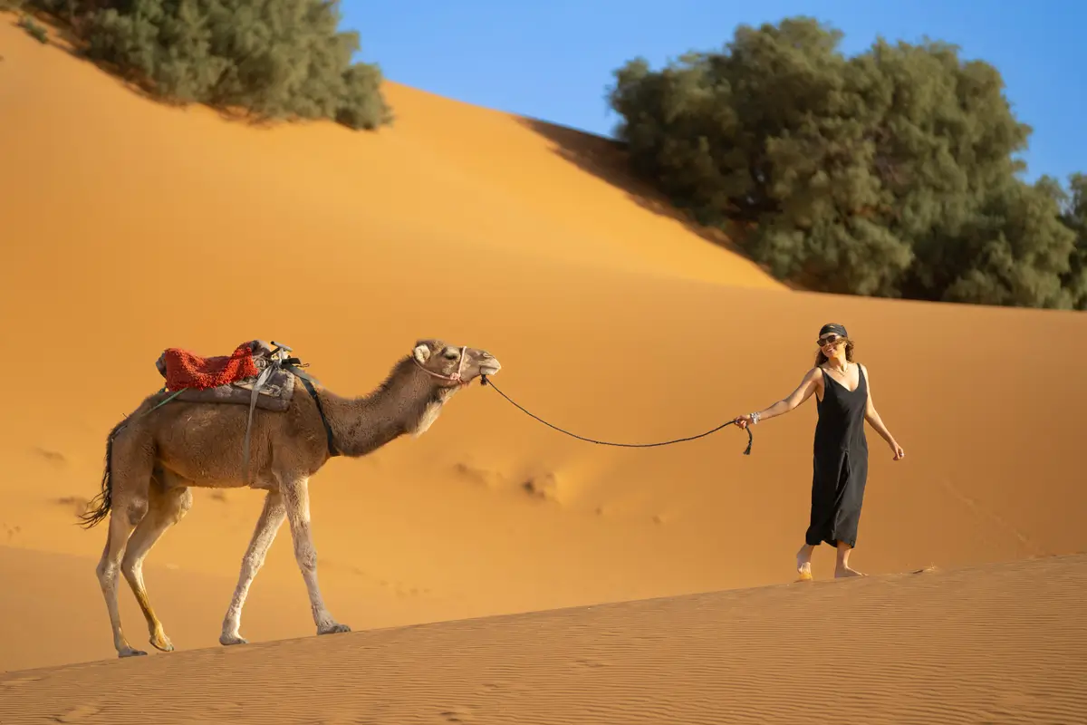 Travelers enjoying a Morocco tour with The Moroccan Tours
