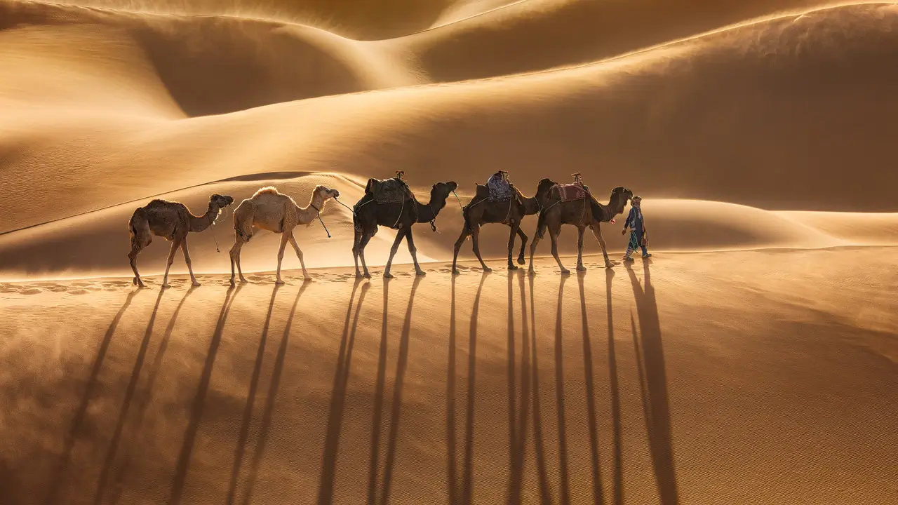 Morocco trekking tours with camel caravan in the Sahara Desert