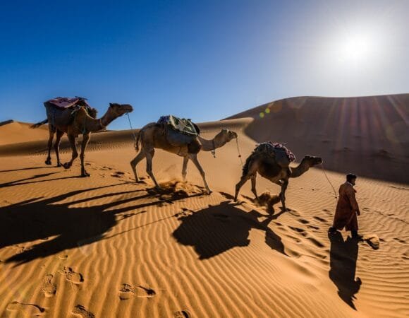 Authentic Marrakech Desert Tours 3 Days