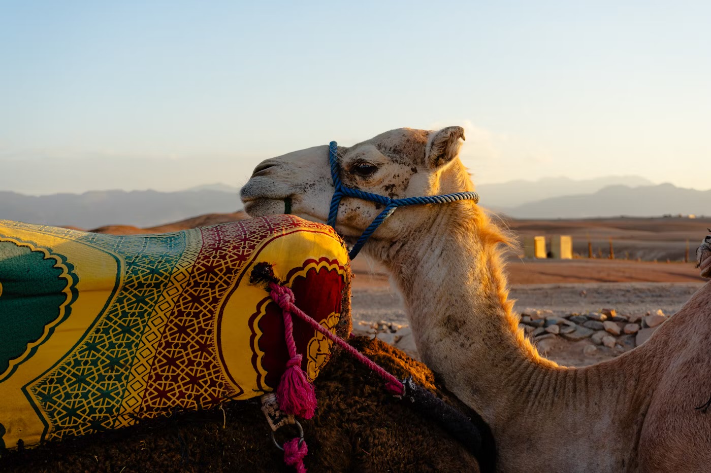 1 Day Agafay Desert Tour from Marrakesh: A Unique Adventure