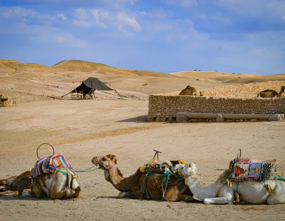 Incredible 1 Day Agafay Desert Morocco Escape from Marrakech