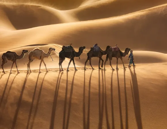 Dreamy Erg Chigaga Camp Adventure Escape