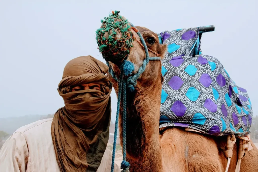 CAMEL TREKKING Morocco