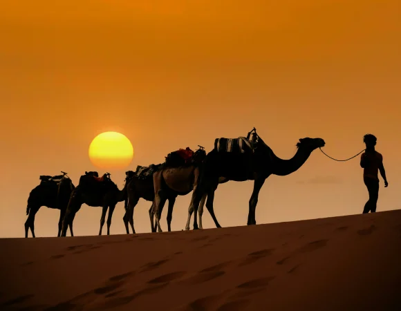 Exclusive Morocco Sahara Desert Tours from Marrakech: Your Ultimate Adventure Guide