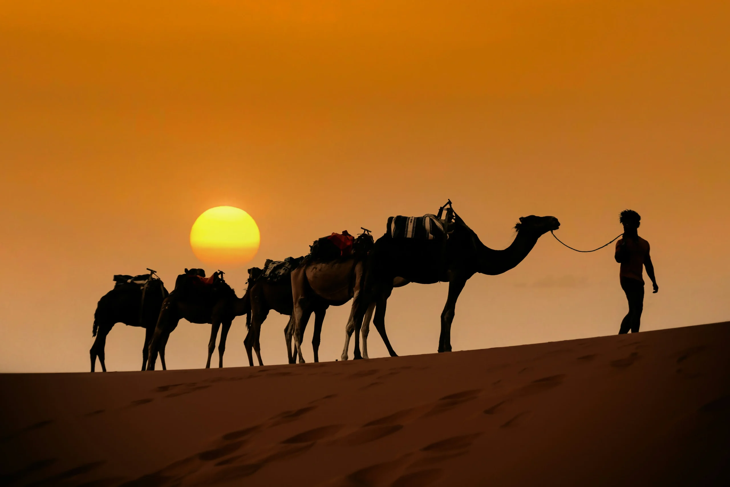 Camel caravan crossing Sahara dunes on Morocco Sahara desert tours from Marrakech
