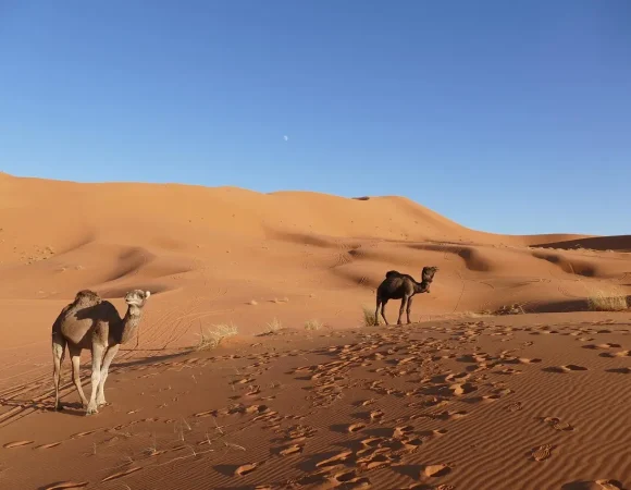 Charming 4 Day Fes to Marrakech Desert Tour You’ll Never Forget