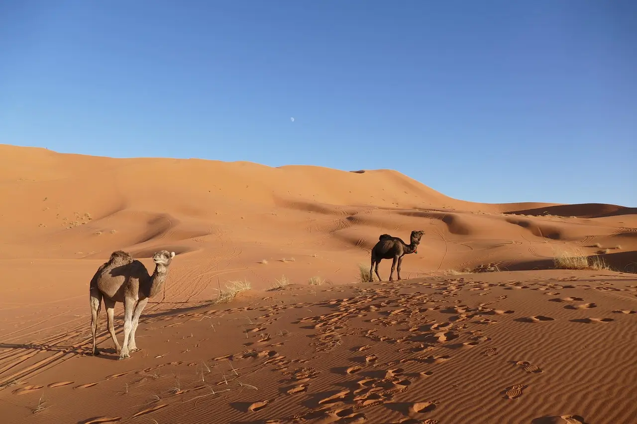 Charming 4 Day Fes to Marrakech Desert Tour You’ll Never Forget