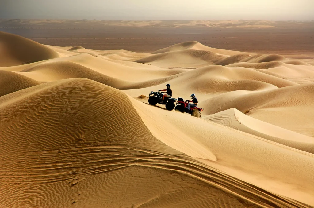 Best activities to do in the desert