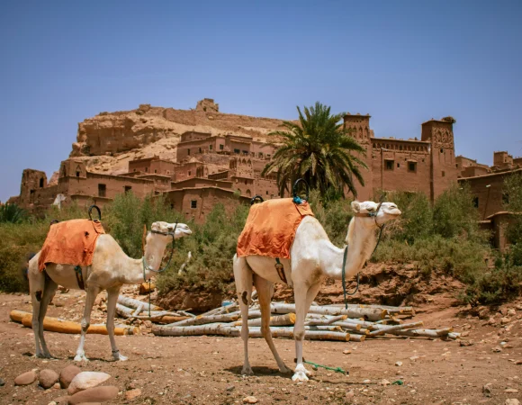 12 Best Day Trips from Marrakech: Explore Morocco in a Day