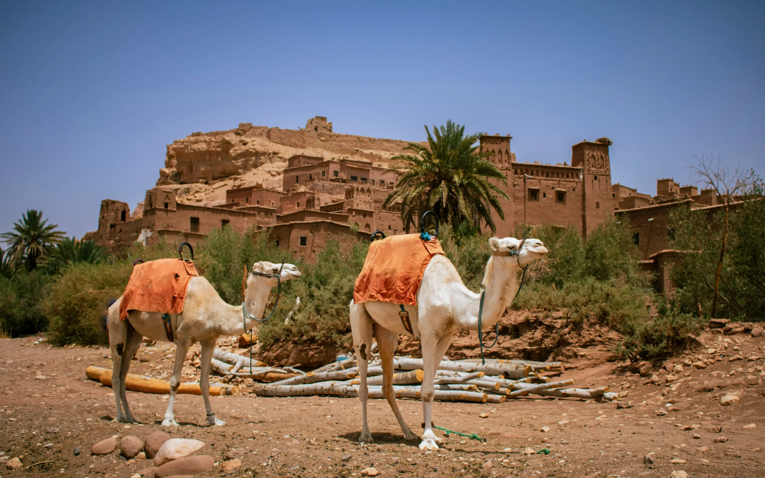 Best day trips from Marrakech showcasing Atlas Mountains and desert landscapes