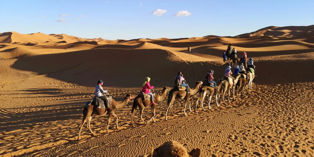 Marrakech to Fes desert tour