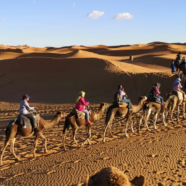 Marrakech to Fes desert tour