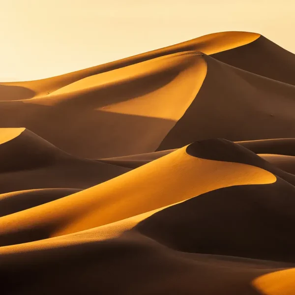 Merzouga Morocco golden sand dunes at sunset with camel silhouettes