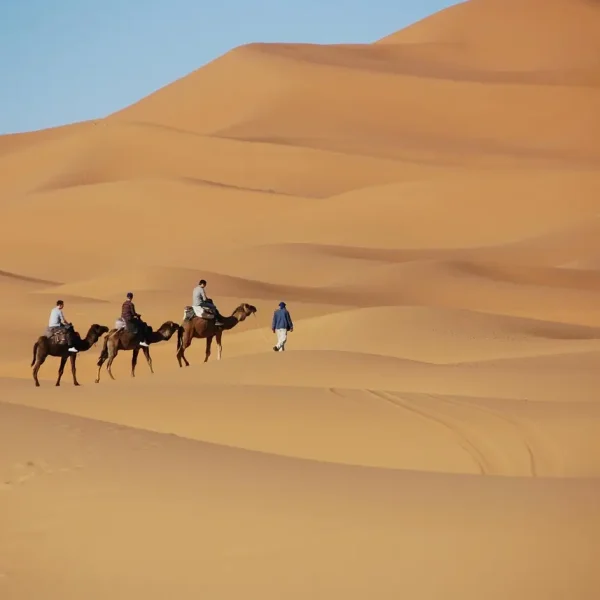 Exciting 9 Days Morocco Family Tour Full of Surprises