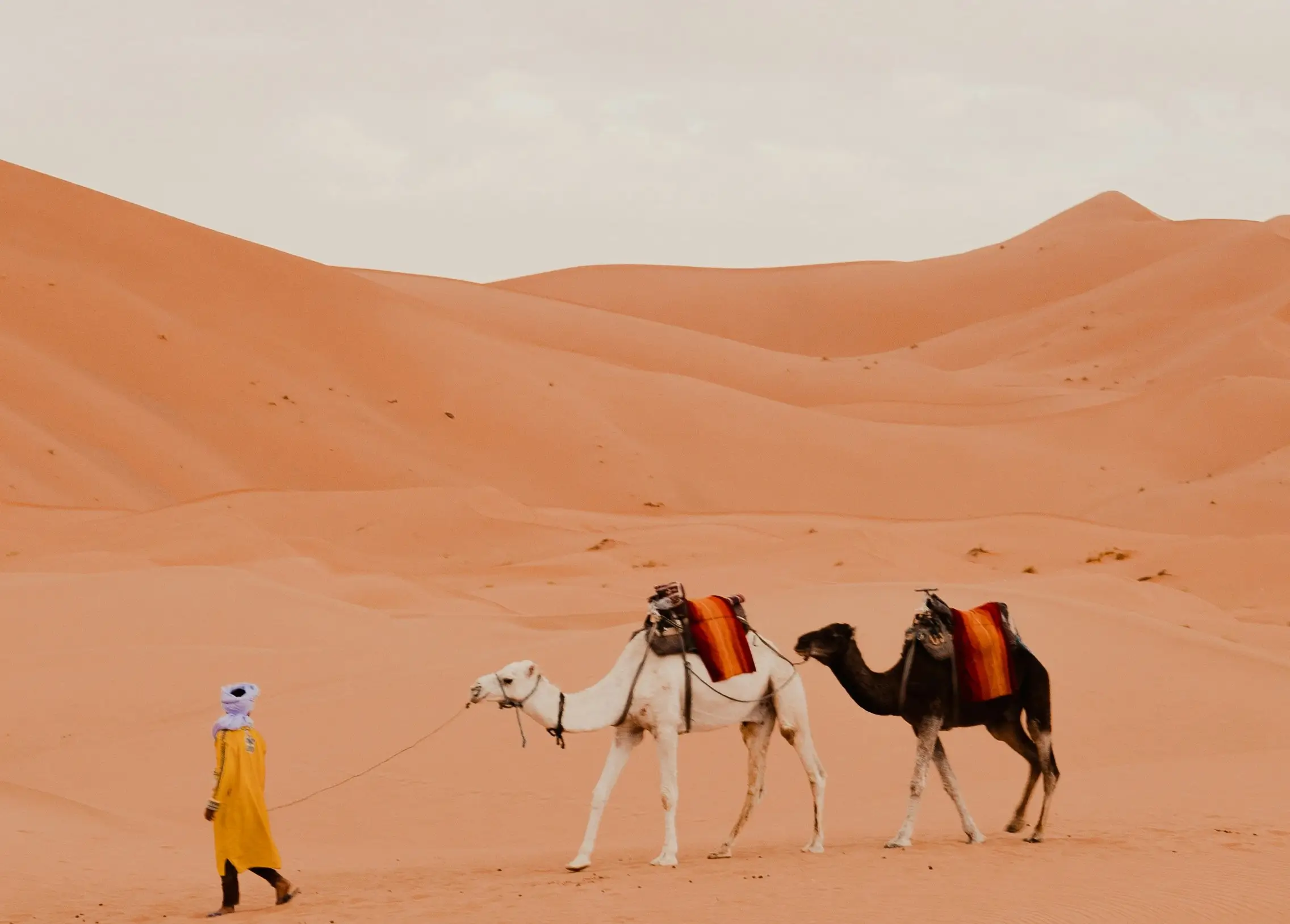 Desert Tours in Morocco