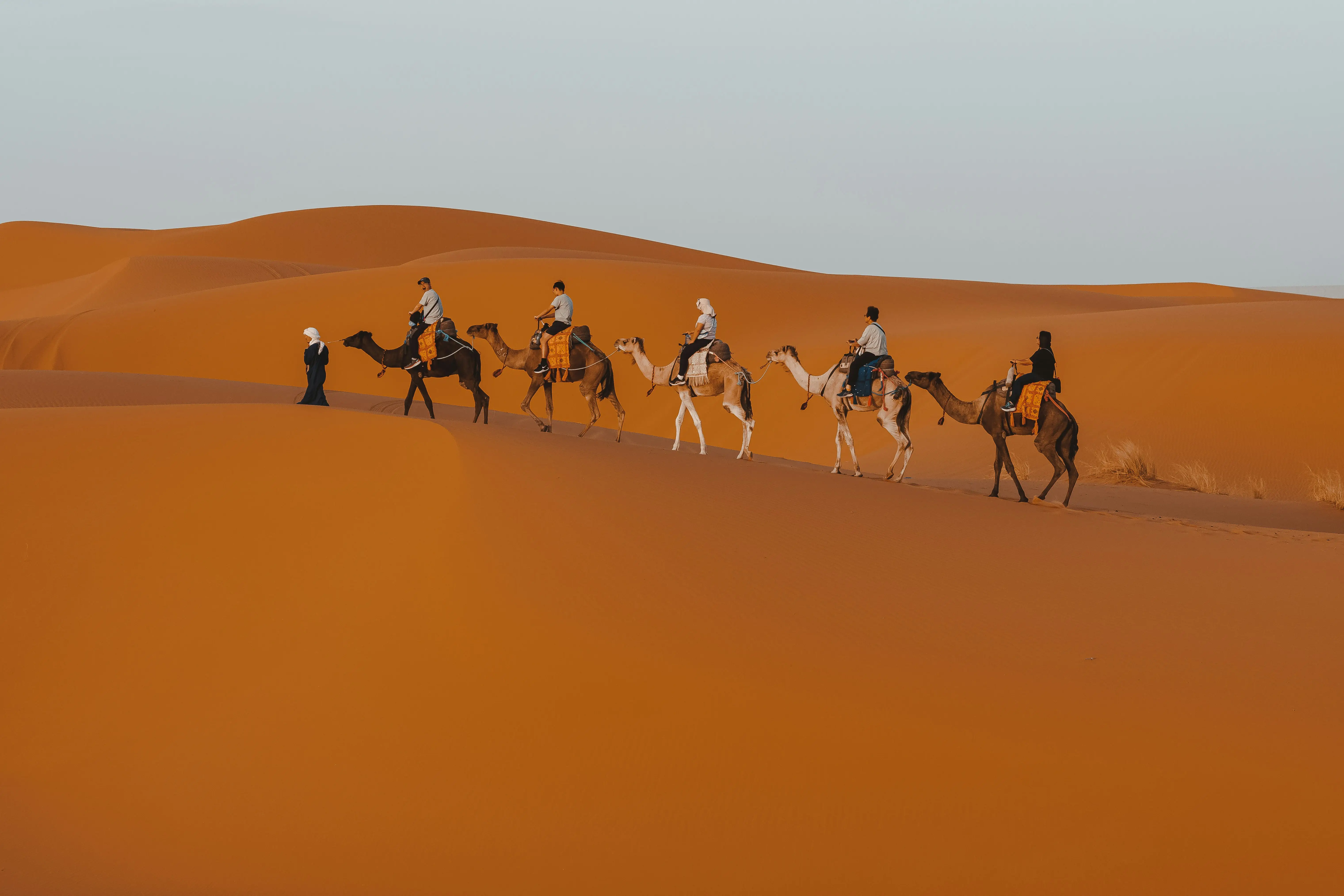 language Moroccan Darija