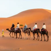 Best Morocco tour companies guide with desert landscape and travelers