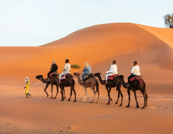 Best Morocco Tour Companies: Your Complete Guide to Unforgettable Journeys