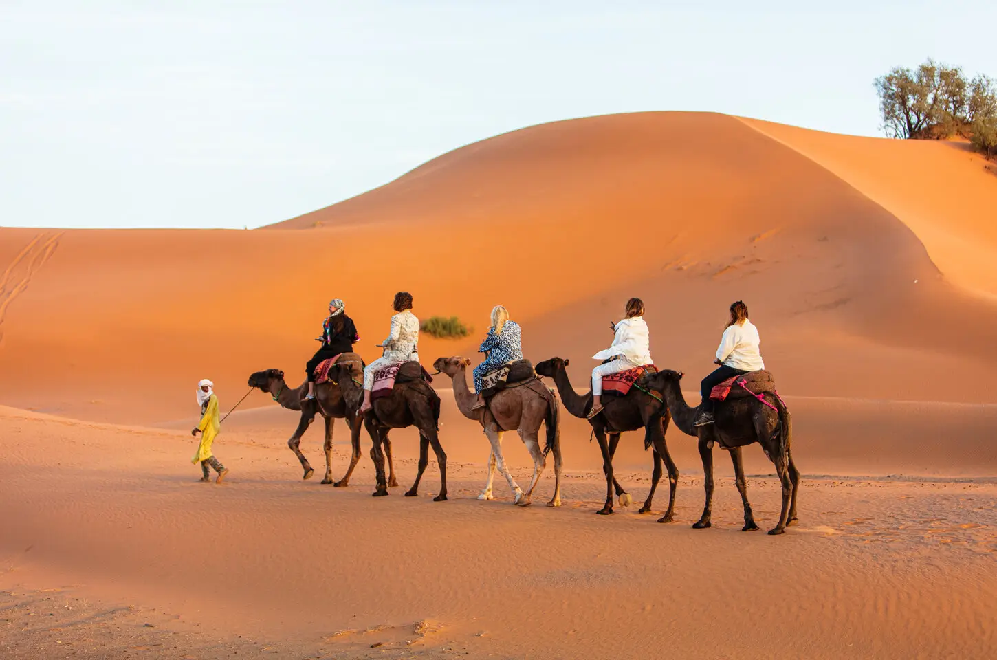 Best Morocco tour companies guide with desert landscape and travelers