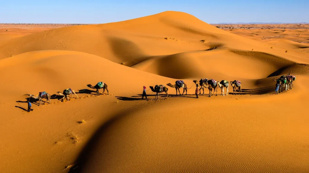 The Moroccan Tours and Morocco Joy Tours comparison for travelers