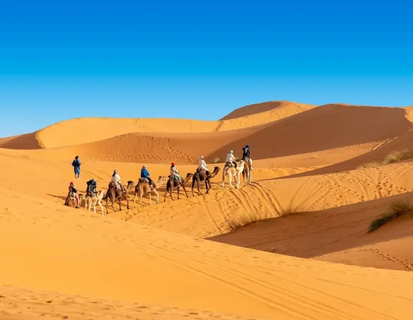 Private 3 Day Tour from Marrakech to Fes - Authentic Desert Experiences