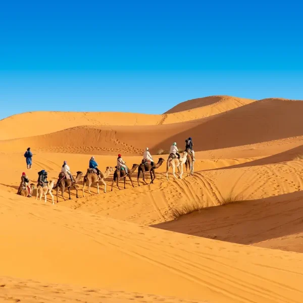 Private 3 Day Tour from Marrakech to Fes - Authentic Desert Experiences