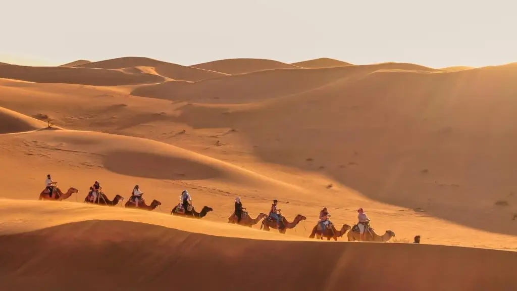 Golden Sahara dunes in Morocco