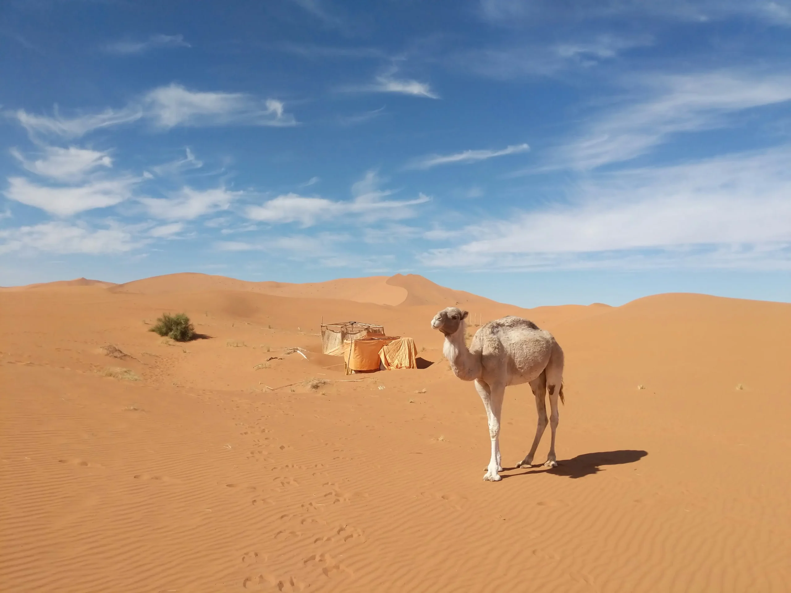 Sahara desert sunset in Morocco