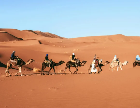 Authentic 8 Days Camel Trekking Sahara Tour for Real Explorers