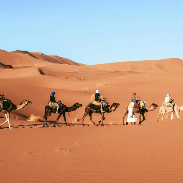 Authentic 8 Days Camel Trekking Sahara Tour for Real Explorers