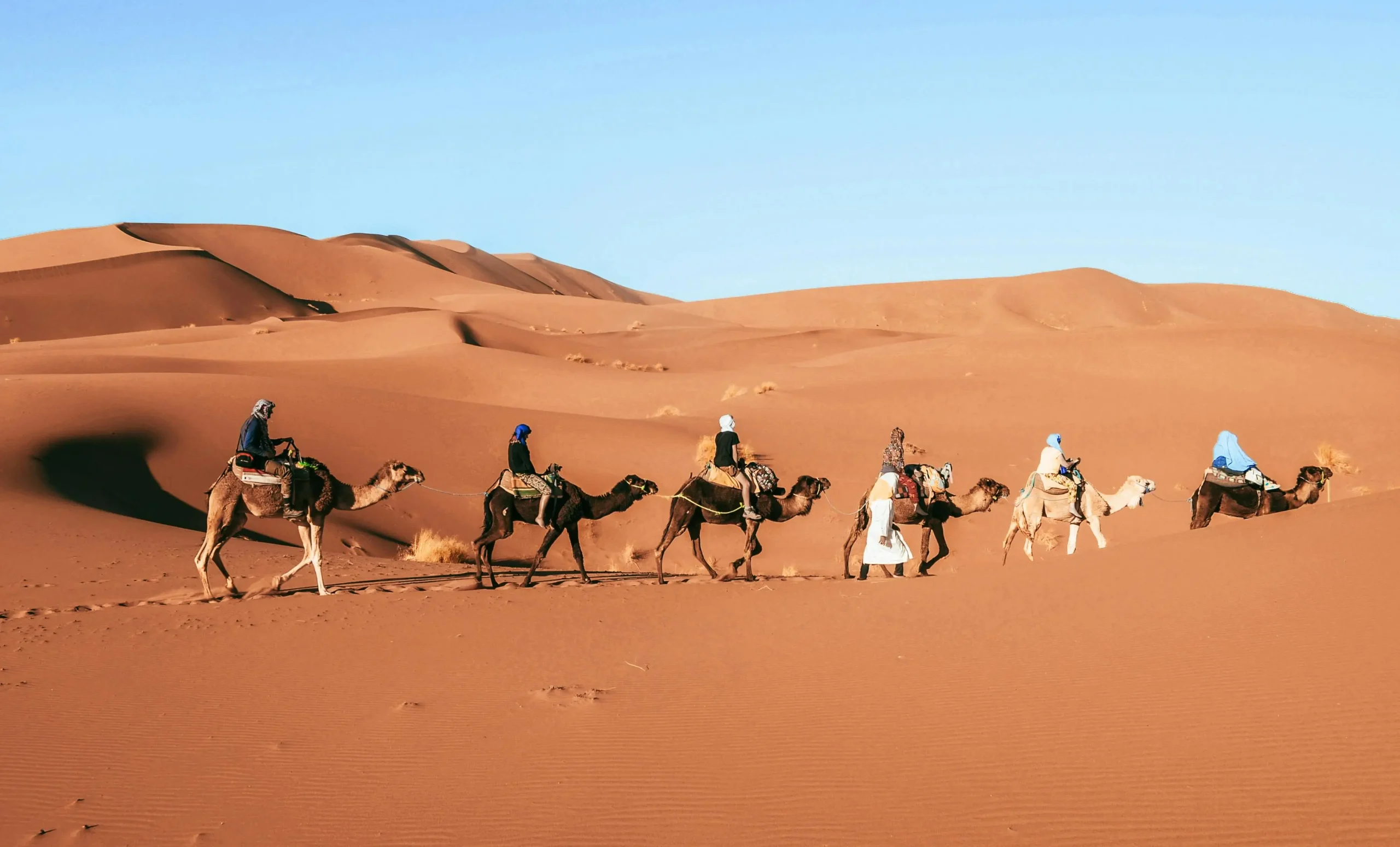 Authentic 8 Days Camel Trekking Sahara Tour for Real Explorers
